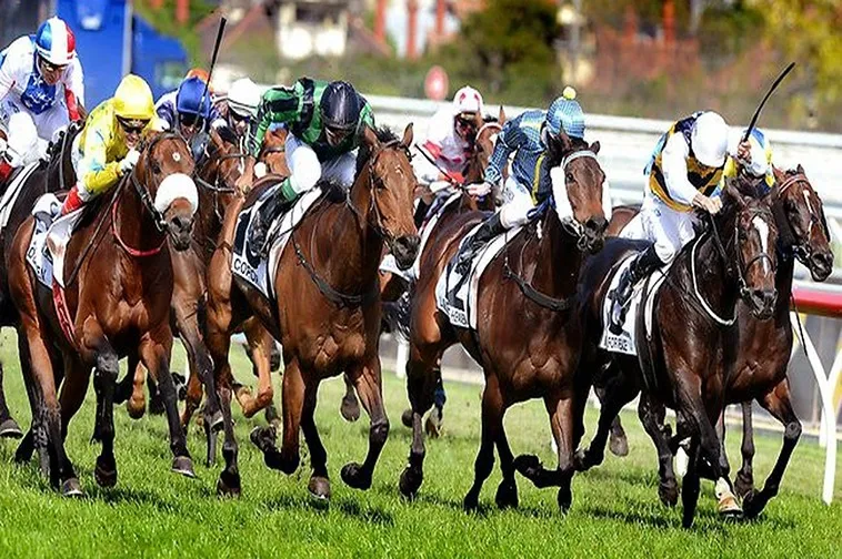 Đua Ngựa 8DAY: Khám Phá Thế Giới Cá Cược Đầy Hấp Dẫn